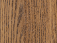 Suspendisse arcu nisl