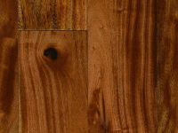 Sed blandit massa vel