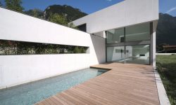 Etiam commodo convallis